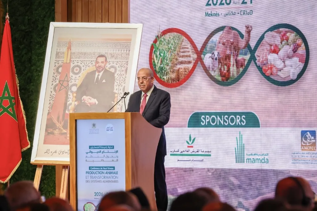 البواري: الموسم الفلاحي مرشح لنتائج إيجابية وإنتاج الحبوب يبلغ 90 مليون قنطار