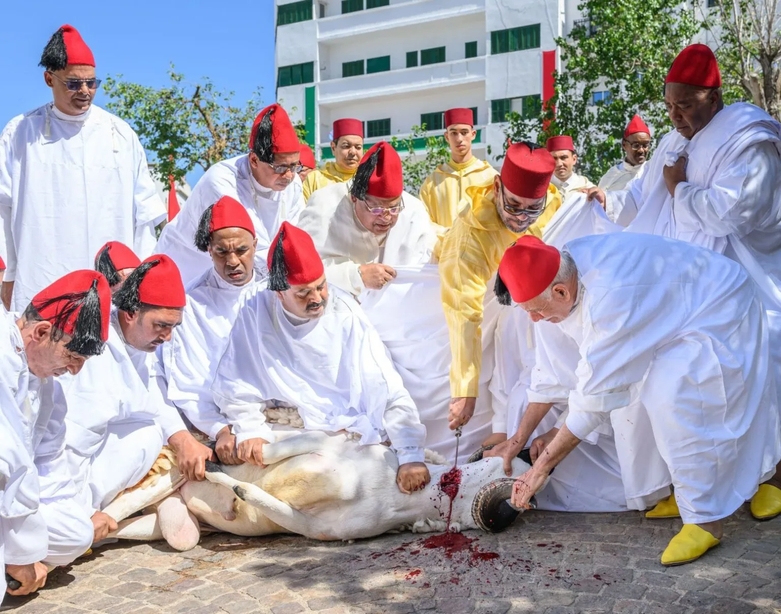 أمير المؤمنين يؤدي صلاة عيد الأضحى بالرباط ويتقبل التهاني بهذه المناسبة السعيدة