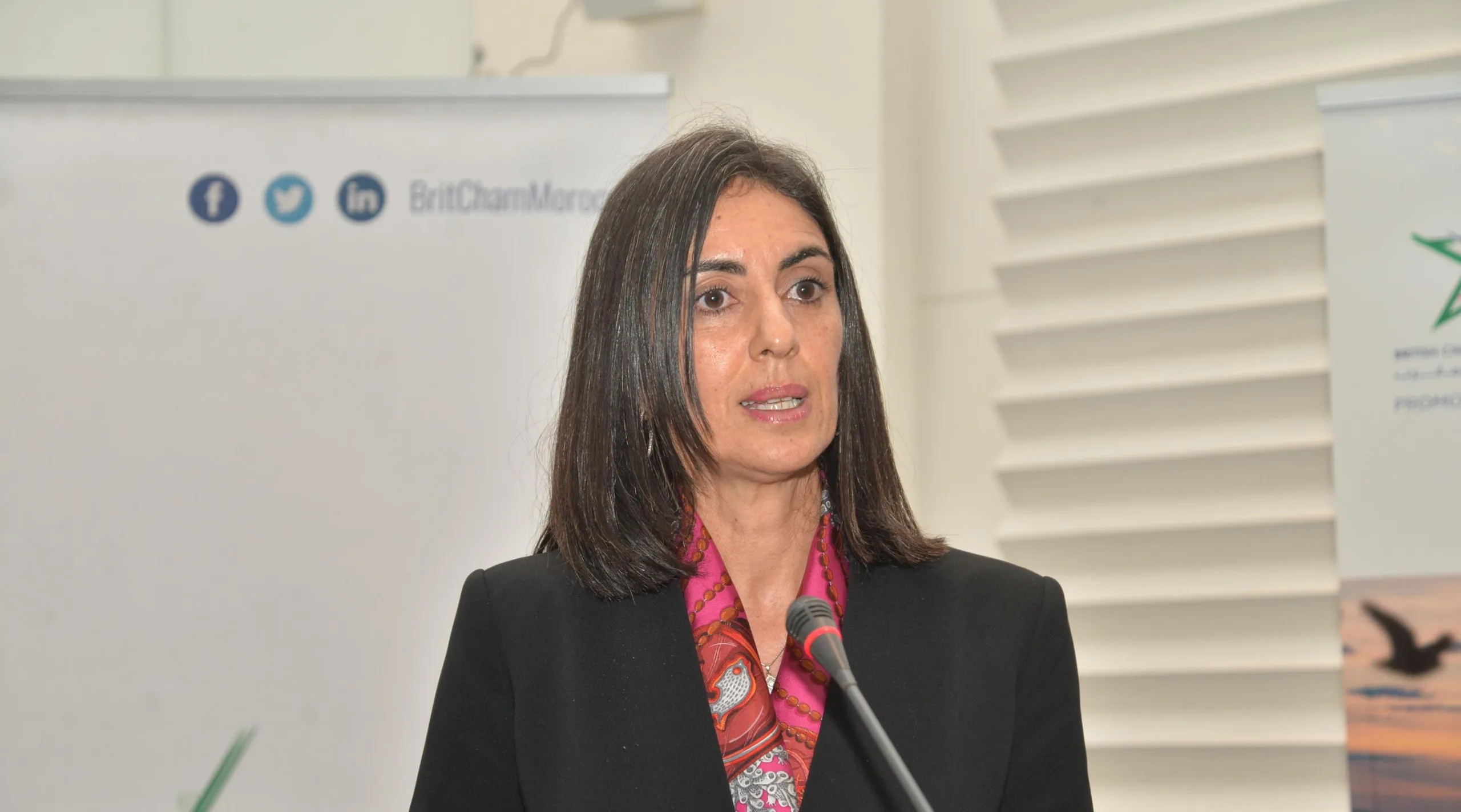المغرب يطلق استشارة عمومية لاستكمال التصنيف المالي الأخضر