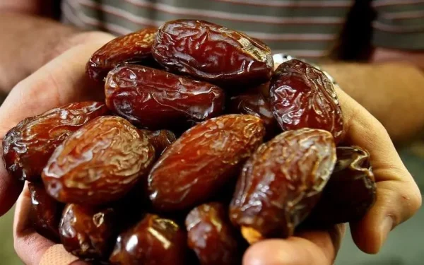 معهد البحث الزراعي يستعرض ابتكاراته في الدورة الـ15 لملتقى التمور بأرفود