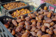 المغرب يتوقع إنتاج 180 ألف طن من التمور خلال الموسم الفلاحي المقبل